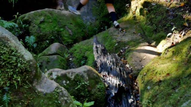 EPIC Day in New Zealand's Abel Tasman National Park ?? Great Walks of New Zealand смотреть онлайн