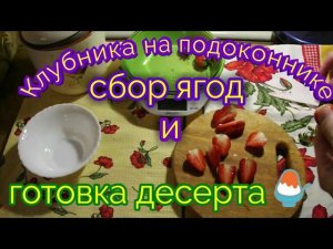 Сбор клубники на подоконнике. Готовим простенький десерт.