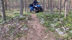 Тест на проходимость в лесу (cfmoto x4)