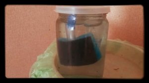 Самый тихий гидрозатвор на свете!!!