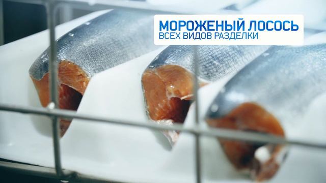 ВОСТОЧНЫЙ БЕРЕГ КОРОТКИЙ РОЛИК смотреть онлайн