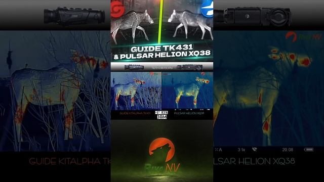 Что лучше? Guide TK431 или Pulsar Helion XQ38?