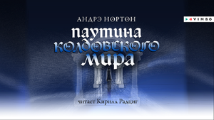 «ПАУТИНА КОЛДОВСКОГО МИРА» АНДРЭ НОРТОН |  #аудиокнига фрагмент