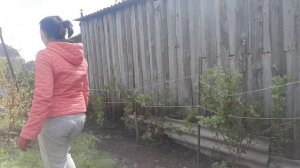 Выходной с мальчиками. Мульча для малины. Полив огорода. День рождение бабушки.