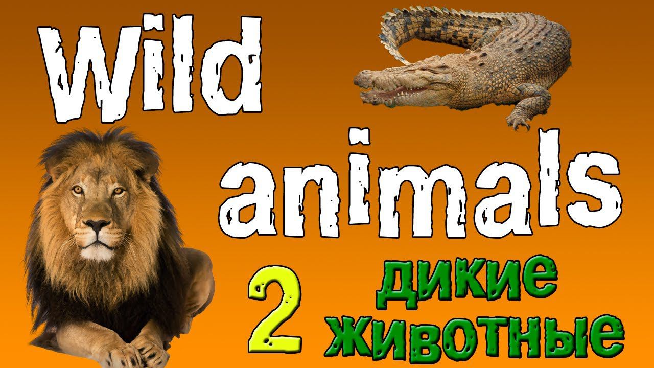Английский для начинающих. Дикие животные на английском языке. Часть 2 смотреть онлайн