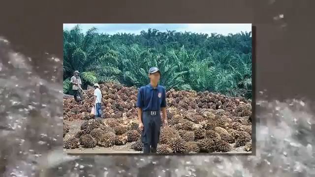 Анаконда проглотила человека смотреть онлайн