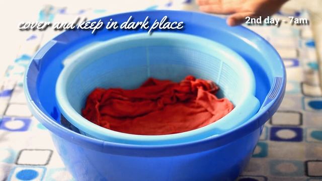 Growing (Togue) Munggo Beans SPROUTS at Home | ANG SARAP GRABE смотреть онлайн