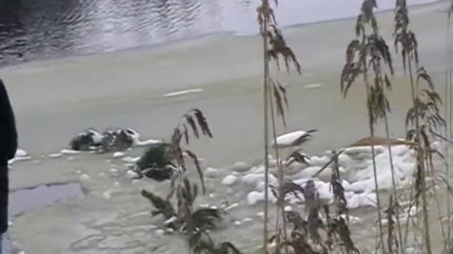 Крещение 2018 на Днепро-Буге. Заречка