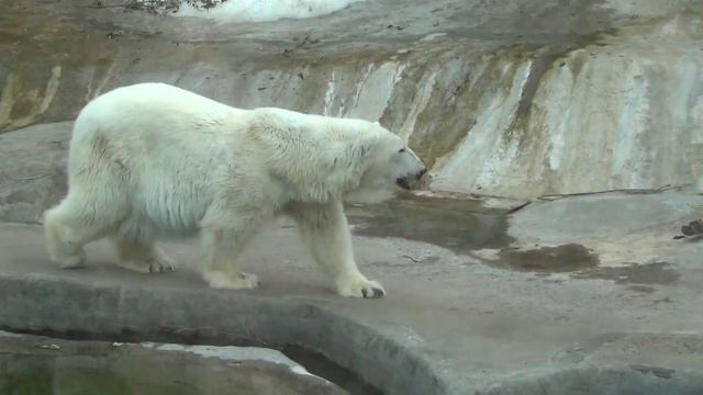 Текст читай гриш про этику смысл жизни смотреть онлайн