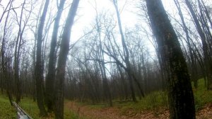 загонная охота на косулю,перекос+недосыл патрона.досадно...