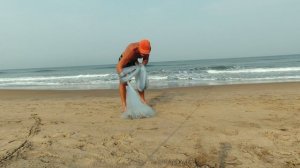 Гоанские народные методы рыболовли: Карлинговая сеть и способы ее заброса.