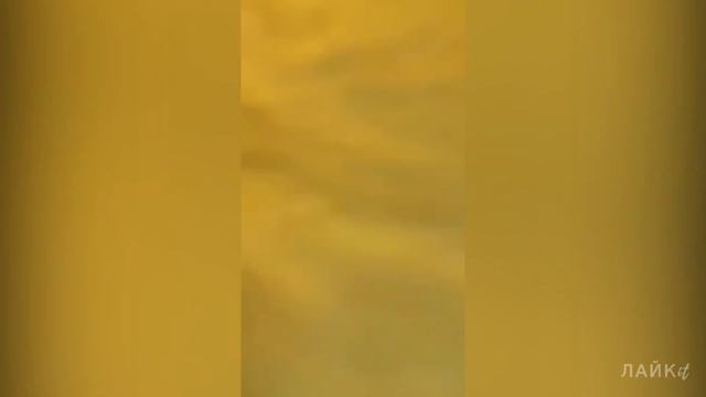 ВСТРЕЧИ С КИТАМИ. Огромный кит проглотил каяк и шокировал людей. Что бывает если вас проглотит кит смотреть онлайн