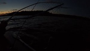 КЛЁВый видос | Ночной троллинг на судака и щуку