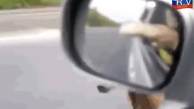 Мишка на дороге просит кушать... :-) смотреть онлайн