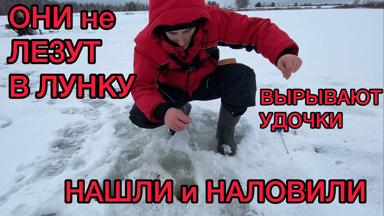 ОНИ ВЫРЫВАЮТ УДОЧКИ из РУК / РВУТ ЛЕСКУ / НАШЛИ и НАЛОВИЛИ смотреть онлайн