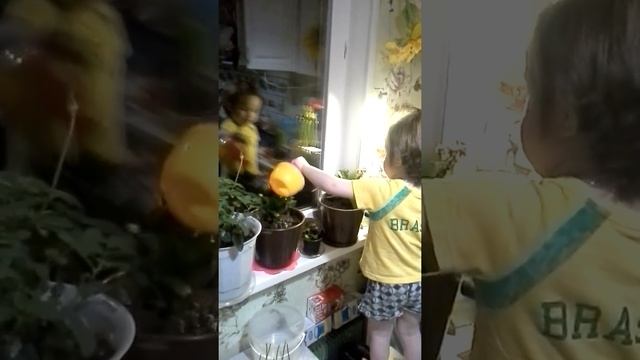 Цветы надо поливать , понимаете или нет смотреть онлайн