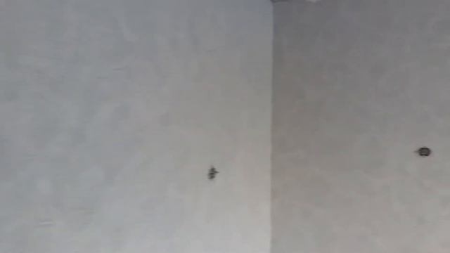 Декоративная штукатурка от Андрея Игнатьева ."Окаменелость" смотреть онлайн