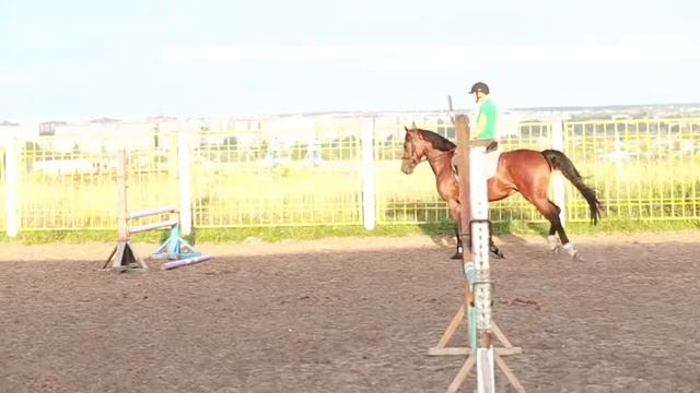 Тербий смотреть онлайн
