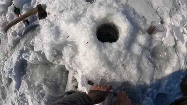 И ОРЛАНА НАКОРМИЛ И СЕБЕ НАЛОВИЛ. Зимняя рыбалка в Астрахани. смотреть онлайн