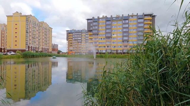 Зеленоградск, рыбалка