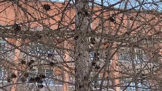 Плюсы и минусы санаторий Сибирь 19.03.2023