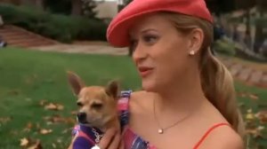 отрывок из фильма "блондинка в законе"