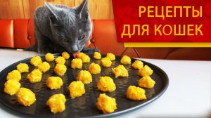 Лакомство для кошек из ТЫКВЫ - Рецепты для кошек