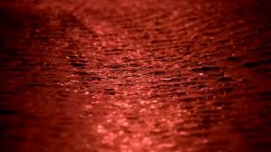 Футаж Красное море