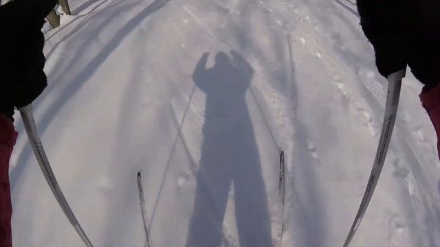 Лыжи TISA Race CAP Combi 204 см смотреть онлайн