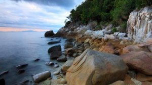 одинокий пастух.wmv