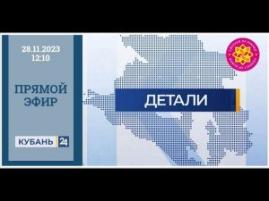 Кубань 24. "Детали". Прямой эфир 28.11.2023 г.