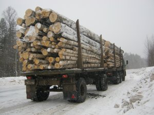 01.03.2023. Парфеньево.