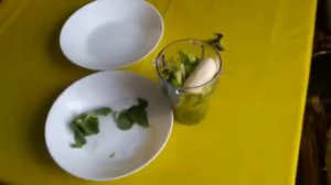 Борьба с белокрылкой уксусом