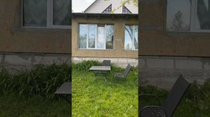 Как живут наши собаки ? Inst: love.mini.pets #папильон папильон#папийон#щенкипаильонамосква