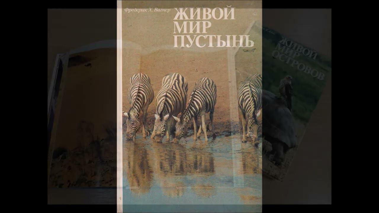 Проект - Разноликая природа смотреть онлайн