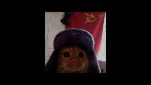 Катюша     Phonk Remix