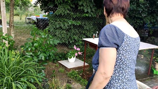 Поливаем цветы на даче 10 июля 2021г смотреть онлайн