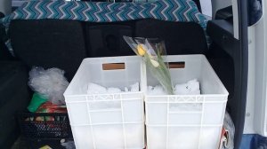 Тюльпаны на 8 марта. Продажа с машины. Отчет о торговле.