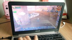 intel atom x5-Z8350 gaming : World of Warcraft