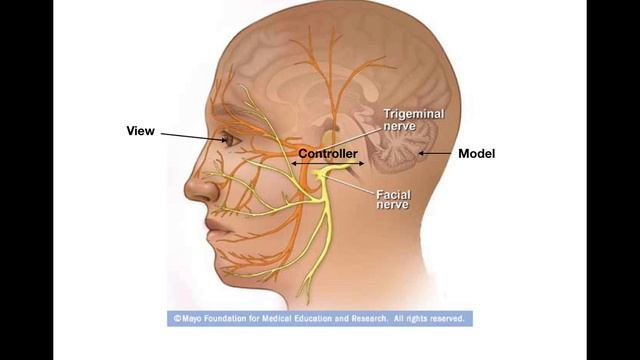Model view controller explained simply смотреть онлайн