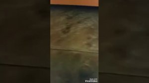 песня стикбот бегемот??