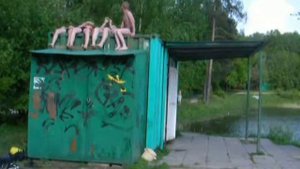Бабаевский пруд. Гольяново