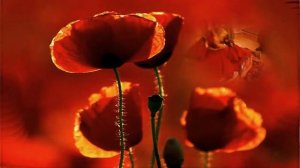 Ах, Наташа  IVAN REBROFF  HD