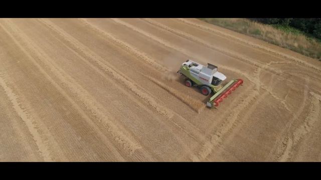 Sklizeň obilí смотреть онлайн