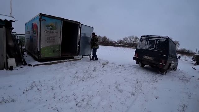 Вздутие у коровы. Как спасти. Содержания быков зимой на улице. Омск Москаленки.