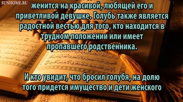 К чему снится Голуби сонник толкование сна