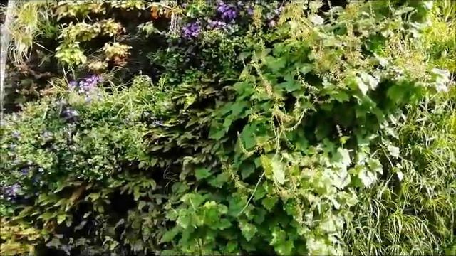 Гуляя по Парижу... Эйфелева Башня// Нотр - Дам и маленький ресторанчик в Париже смотреть онлайн