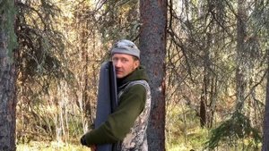 Аляска. День 7. Придут ли волки или медведь на место добычи лося?