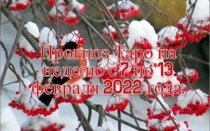 Прогноз Таро на неделю с 7 по 13 февраля 2022 года.