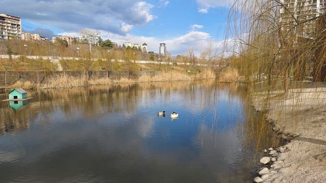 Vivo X90 Pro+ ЛУЧШЕЕ НОЧНОЕ ФОТО! Зум, Видео и Фото, смотреть онлайн